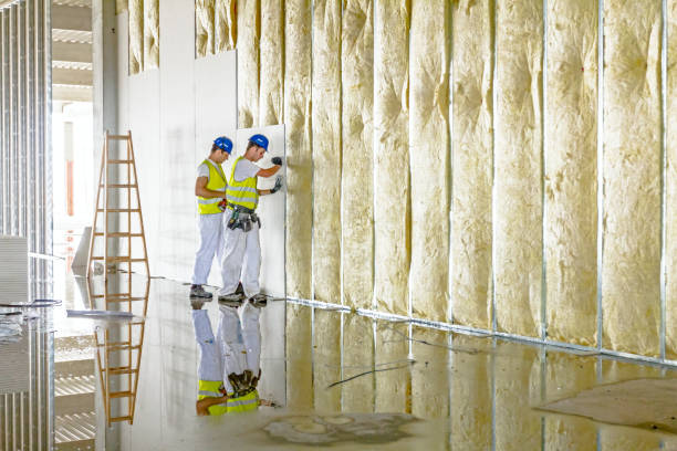 Best Insulation Installation Services in Ke Providence, LA